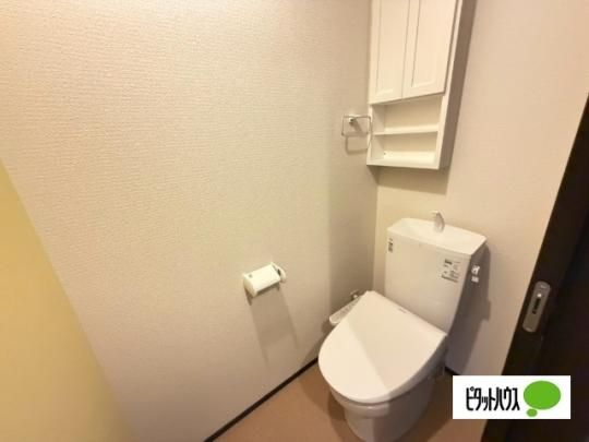 �y���̑��z�@�g�C��