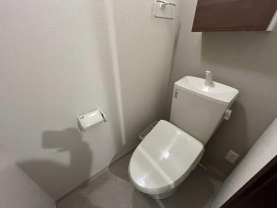 �y���̑��z�@�g�C��