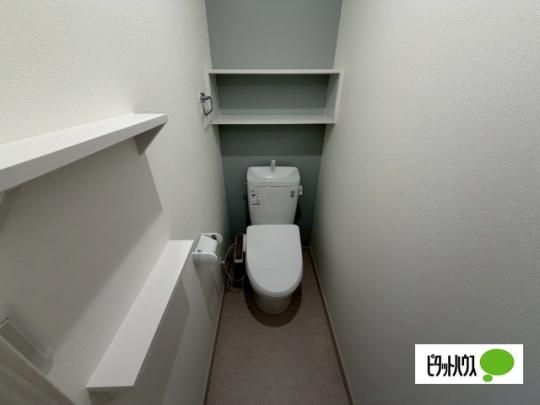 �y���̑��z�@�g�C��