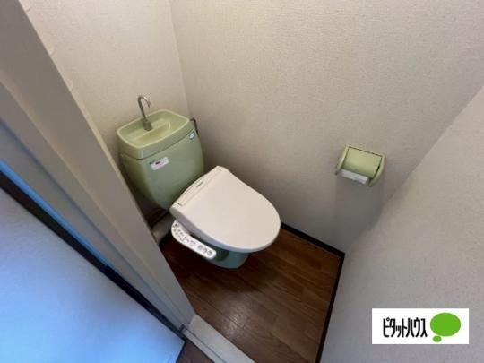 �y���̑��z�@�g�C��