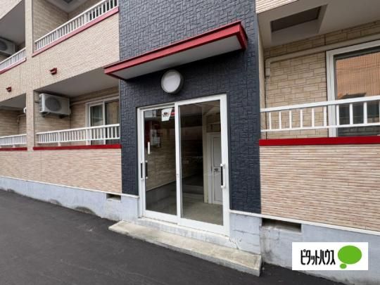 �y�����O�ρz�@�G���g�����X