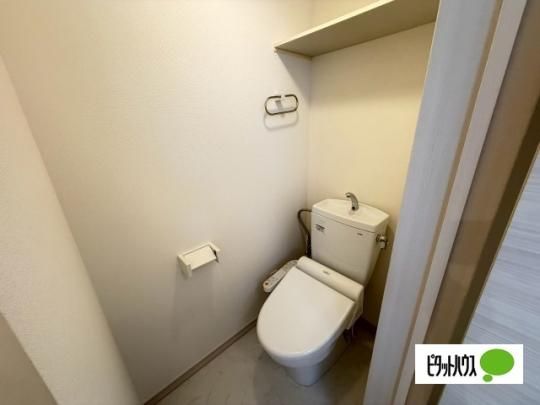 �y���̑��z�@�g�C��