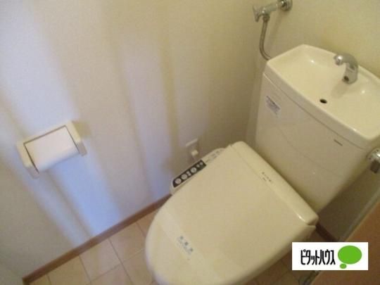 �y���̑��z�@�g�C��