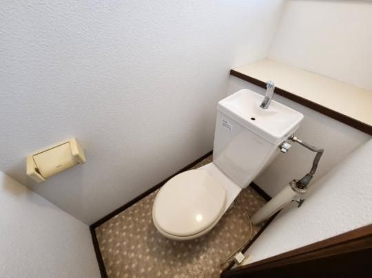 �y���̑��z�@�g�C��
