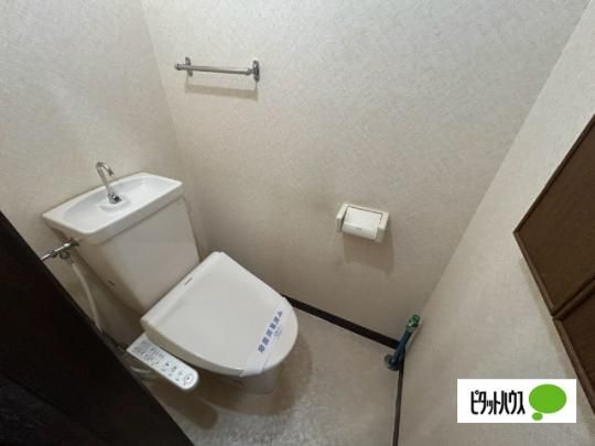 �y���̑��z�@�g�C��