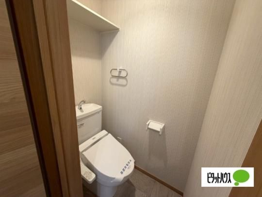 �y���̑��z�@�g�C��