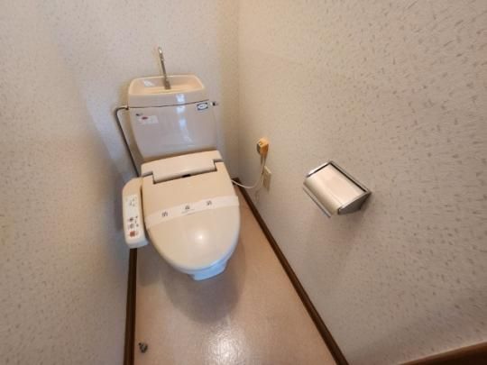 �y���̑��z�@�g�C��