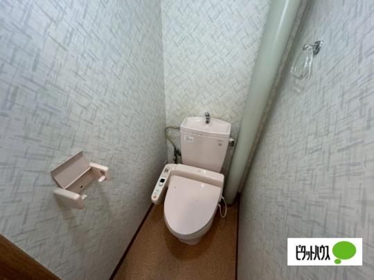 �y���̑��z�@�g�C��