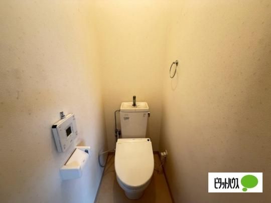 �y���̑��z�@�g�C��
