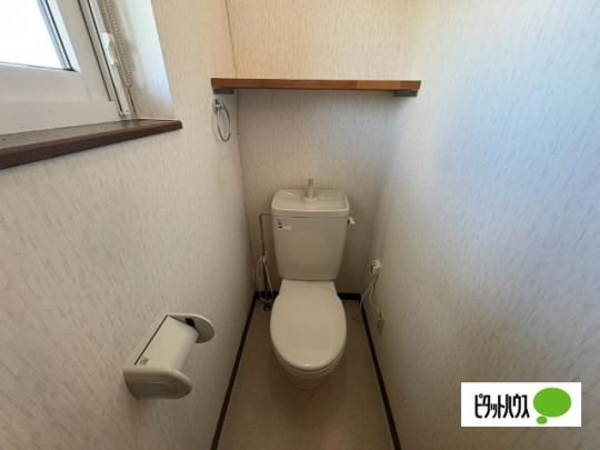 �y���̑��z�@�g�C��
