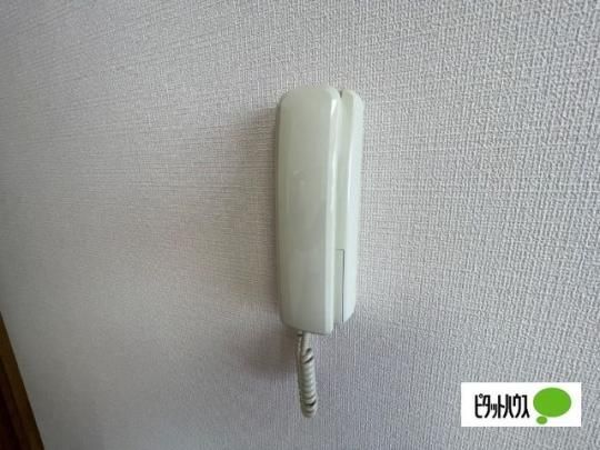 �y���̑��z�@�Z�L�����e�B