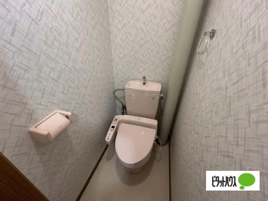 �y���̑��z�@�g�C��