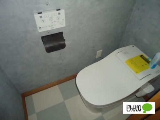 �y���̑��z�@�g�C��