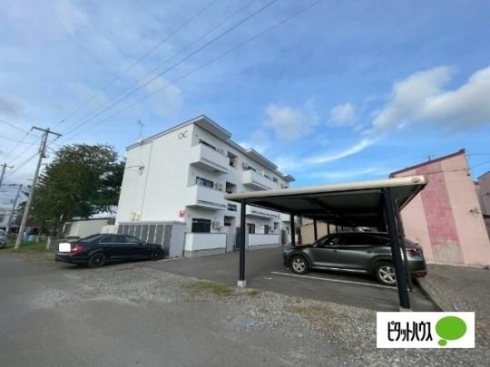 OrangeCounty�i�I�����W�J�E���e�B�j