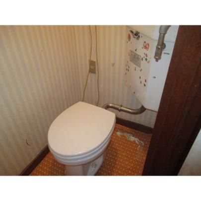 �y���̑��z�@�g�C��