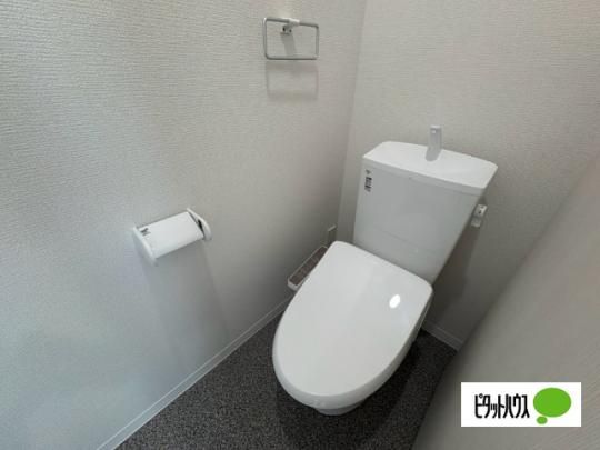 �y���̑��z�@�g�C��