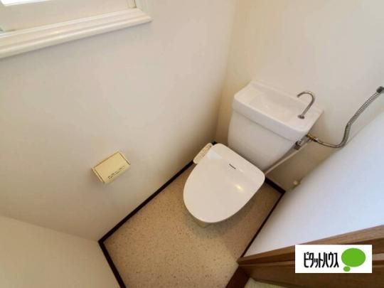 �y���̑��z�@�g�C��