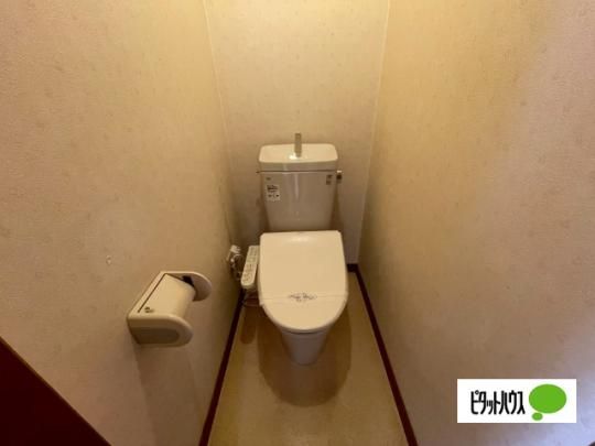 �y���̑��z�@�g�C��