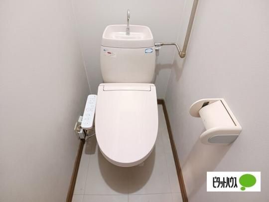 �y���̑��z�@�g�C��