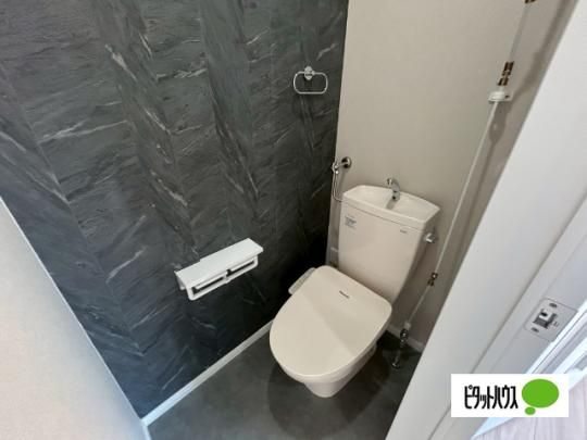 �y���̑��z�@�g�C��
