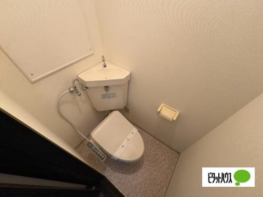 �y���̑��z�@�g�C��