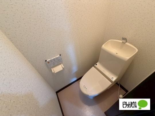 �y���̑��z�@�g�C��