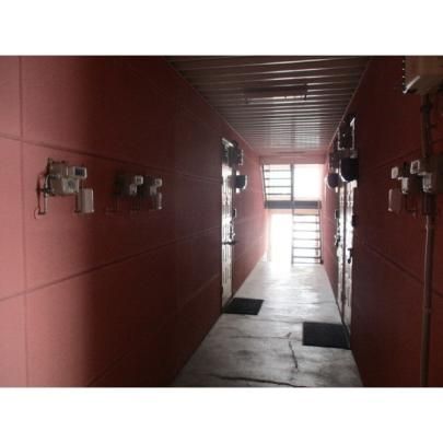 �y�����O�ρz�@���r�[