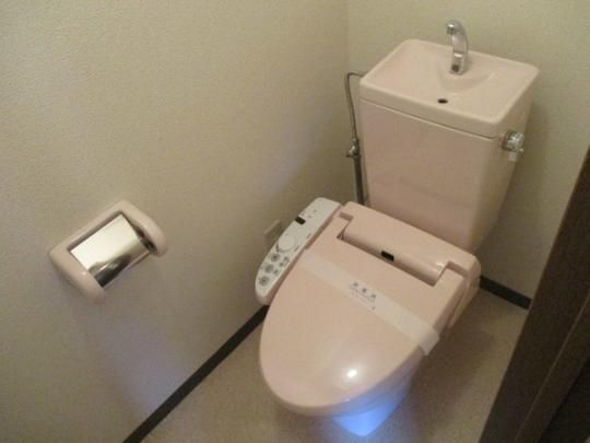 �y���̑��z�@�g�C��