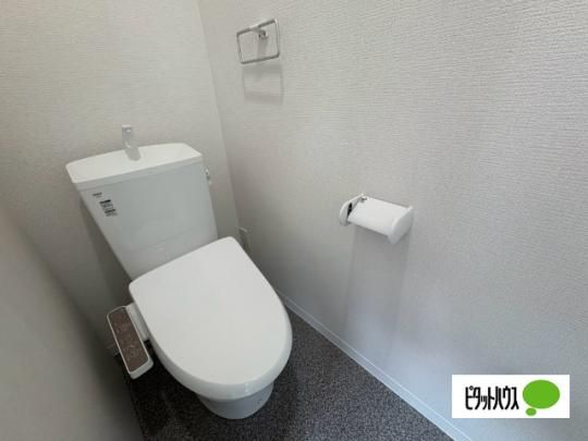 �y���̑��z�@�g�C��