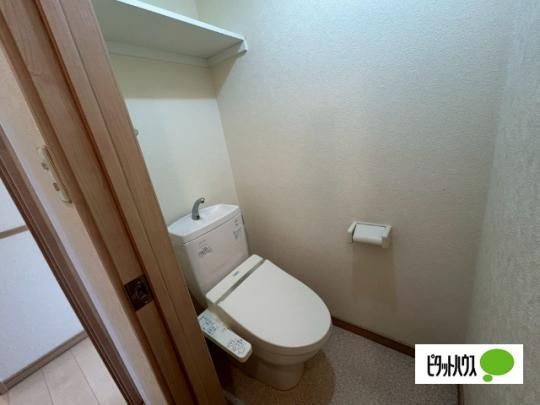 �y���̑��z�@�g�C��