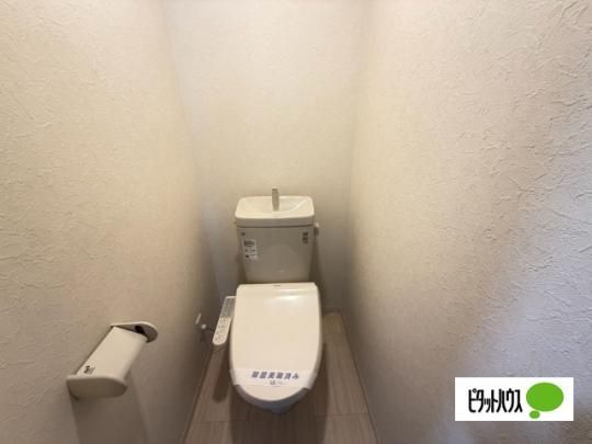 �y���̑��z�@�g�C��
