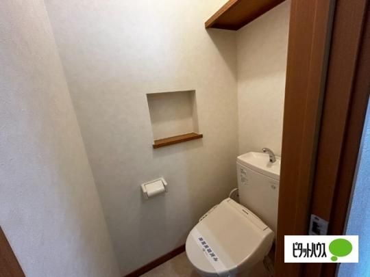 �y���̑��z�@�g�C��