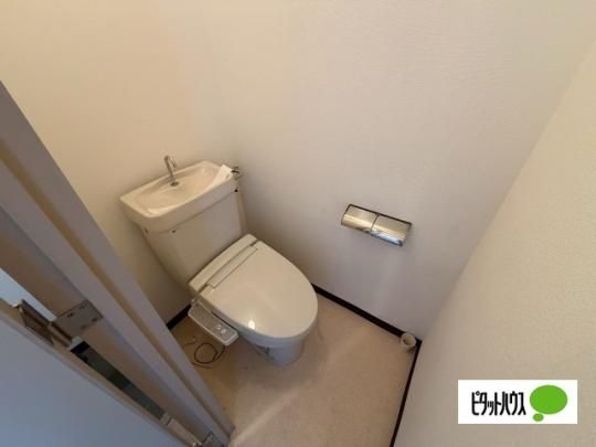 �y���̑��z�@�g�C��