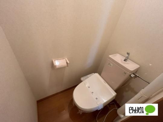 �y���̑��z�@�g�C��
