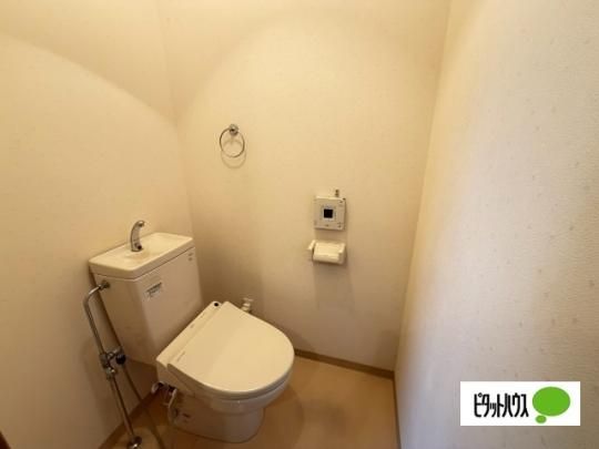 �y���̑��z�@�g�C��