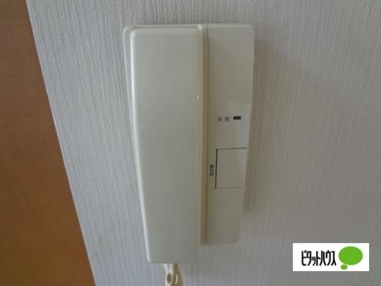 �y���̑��z�@�Z�L�����e�B