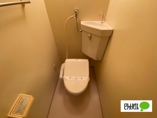 �y���̑��z�@�g�C��