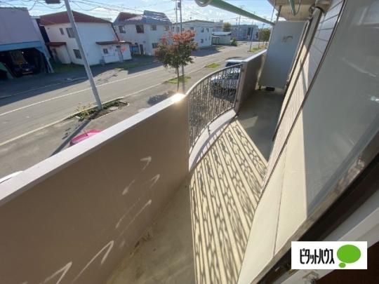 �y���̑��z�@�o���R�j�[