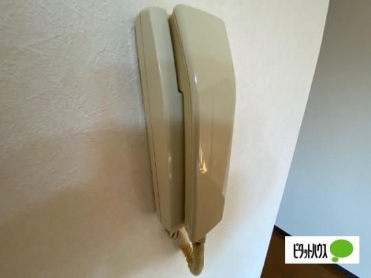 �y���̑��z�@�Z�L�����e�B