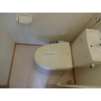 �y���̑��z�@�g�C��
