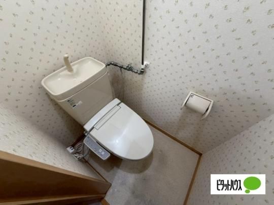 �y���̑��z�@�g�C��