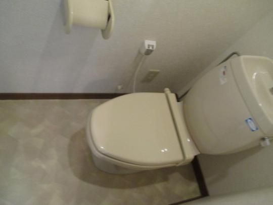 �y���̑��z�@�g�C��