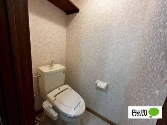 �y���̑��z�@�g�C��