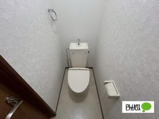�y���̑��z�@�g�C��