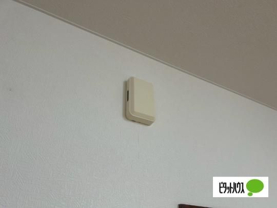�y���̑��z�@�Z�L�����e�B