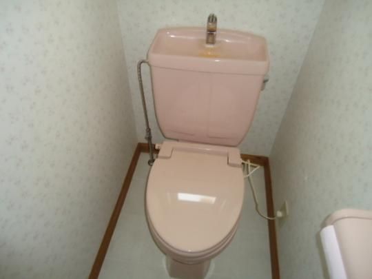 �y���̑��z�@�g�C��