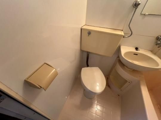 �y���̑��z�@�g�C��