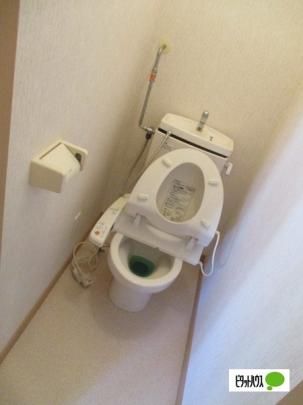 �y���̑��z�@�g�C��