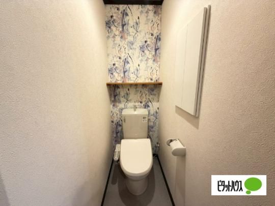 �y���̑��z�@�g�C��
