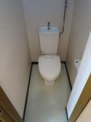 �y���̑��z�@�g�C��